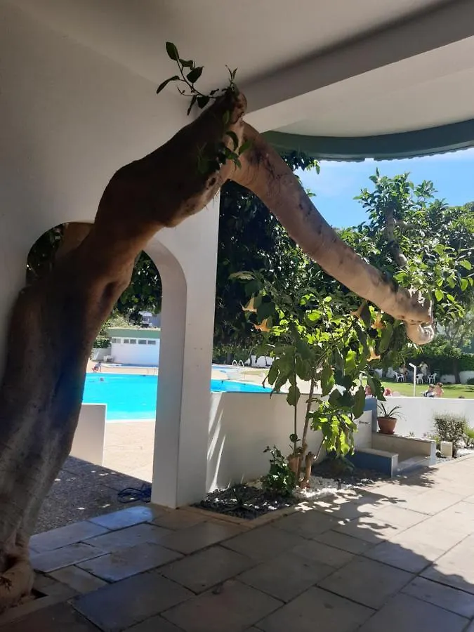 Apartamento Da Avo Te - Em Frente A Praia C Piscina Portimao Apartment