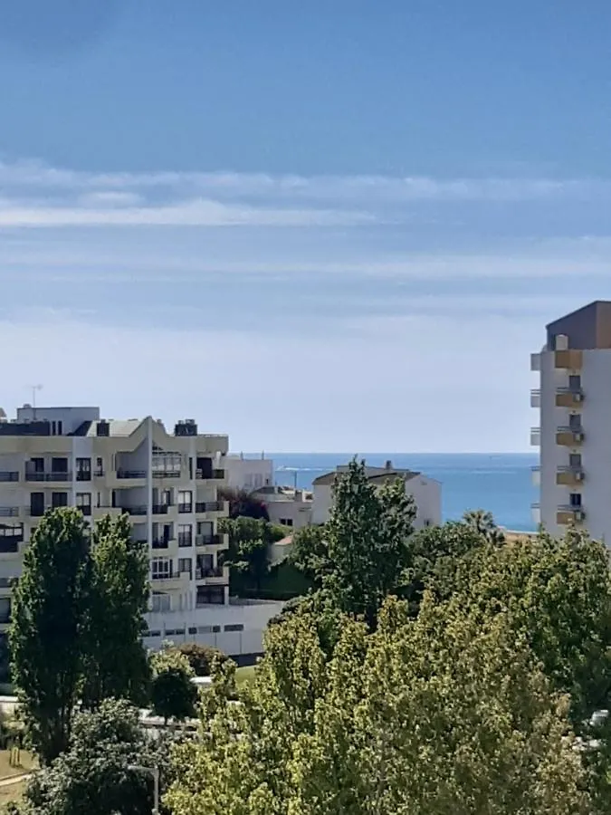 Apartamento Da Avo Te - Em Frente A Praia C Piscina Portimao 0*,