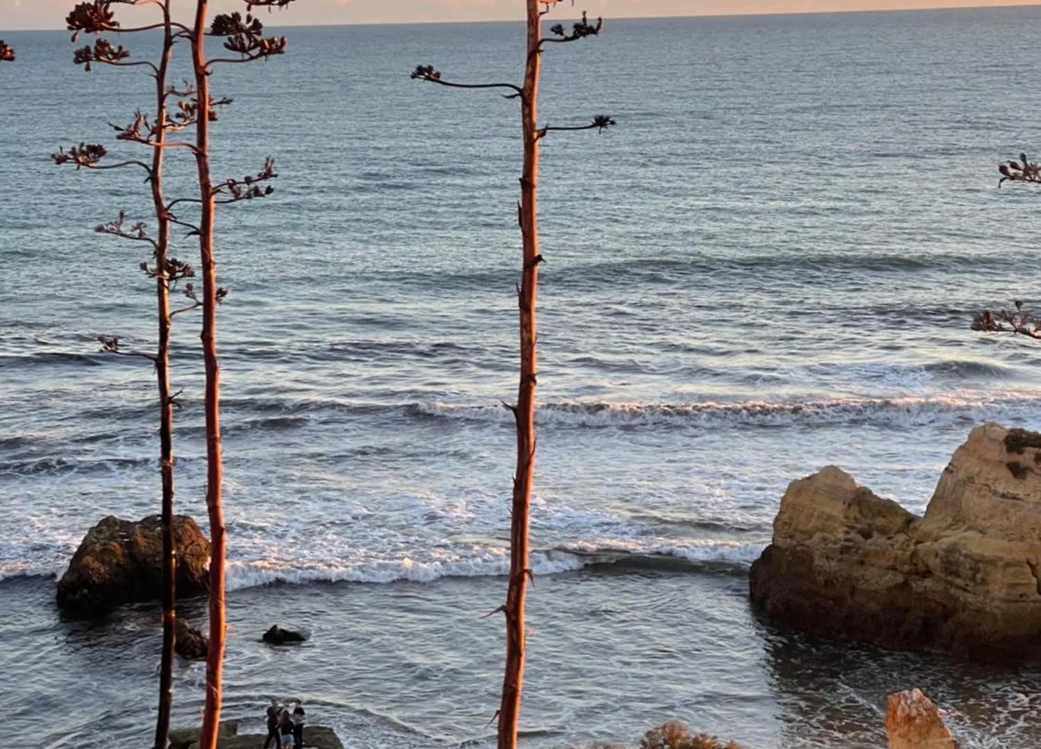 Apartamento Da Avo Te - Em Frente A Praia C Piscina Portimão Portugalia